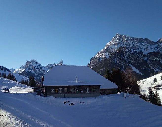 Schlatti Hof Schwenden