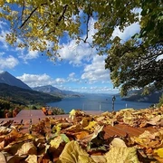 Angepasstes Bild
