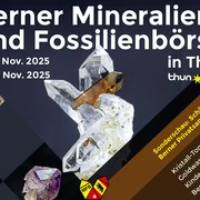 MFB Poster 2025 SoMe 1200x675