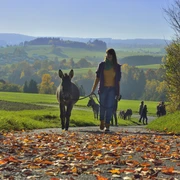 00008_DonkeyTour_Okt15