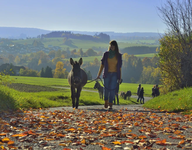 00008_DonkeyTour_Okt15