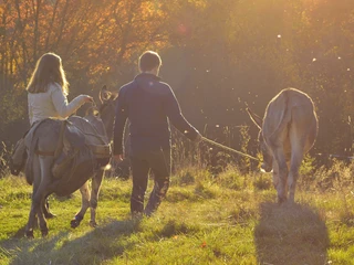 00036_DonkeyTour_Okt15