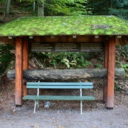 Die Teuchel - eine historische Holzwasserleitung