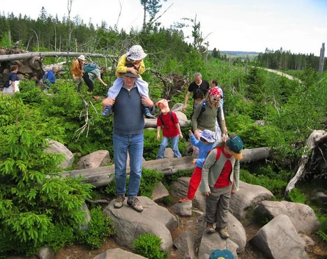 Nationalpark Schwarzwald/Lotharpfad