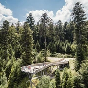 Der Ellbachseeblick aus der Vogelperspektive