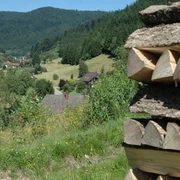 Blick auf das Wolftal