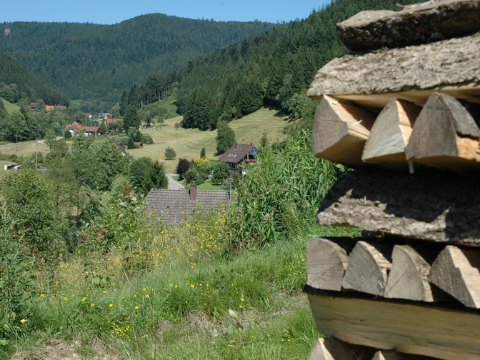 Blick auf das Wolftal