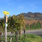 Rieslingweg