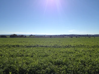 Blick auf die Schwäbische Alb