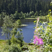 Am Sankenbachsee Kinder Großeltern