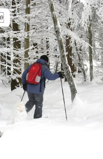 Schneeschuhwandern