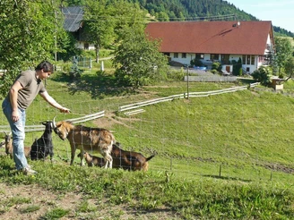 Hapbach - Dohlenbacherhof