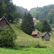 Heuhütten im Sersbachtal bei Forbach-Bermersbach