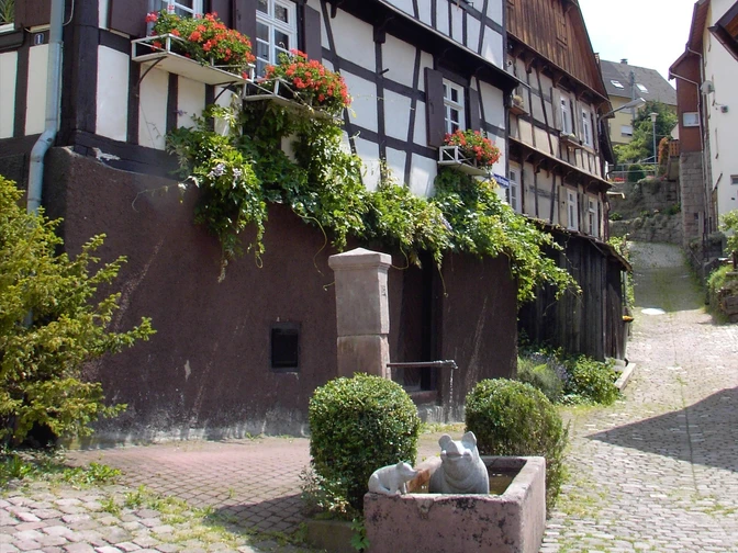 Saugasse Gausbach Exif JPEG