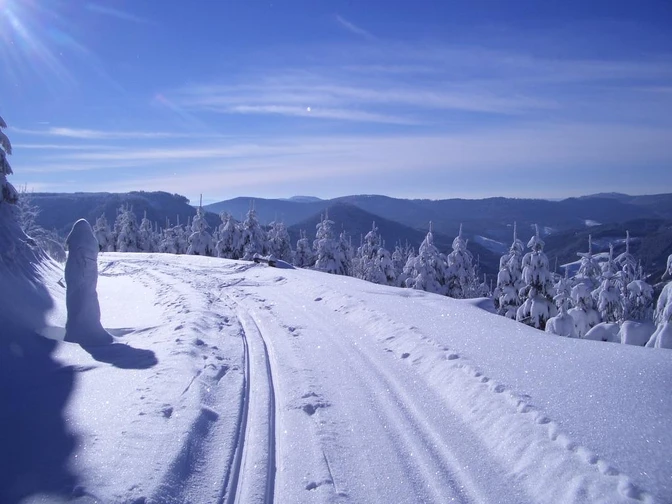 Winterwandern in Bad Peterstal-Griesbach