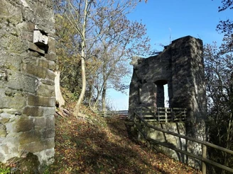 Burgruine Falkenstein