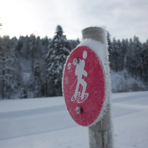 Schneeschuh-Logo