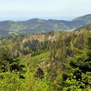 Blick zum Karlsruher Grat