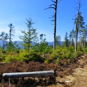 Sturmwurffläche zwischen Diebaukopf und Philippenkopf