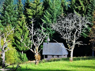 Wendelinuskapelle am Bosenstein am Waldrand in der Sonne