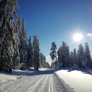 Kaltenbronn Langlauf Loipe