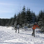 Kaltenbronn Langlauf