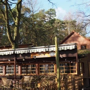 Alte Moorhütte Eine rustikale Holzhütte mit Veranda und Tischgruppe, umgeben von hohen Bäumen im Waldrestaurant.