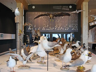 UNESCO-Weltnaturerbe Wattenmeer-Besucherzentrum Cuxhaven