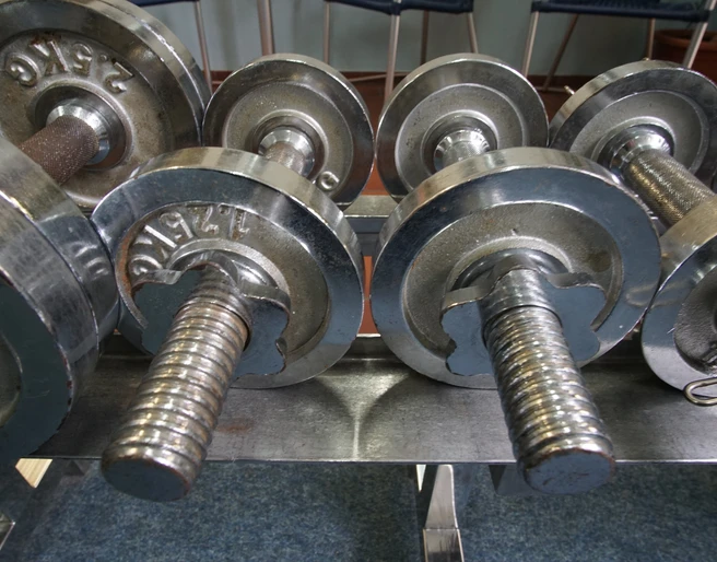 Das Bild zeigt mehrere silberne Hanteln, die in einem Fitnessstudio aufgereiht sind.