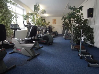 Ein heller Fitnessraum, ausgestattet mit mehreren Cardio-Geräten, umgeben von zahlreichen Pflanzen.