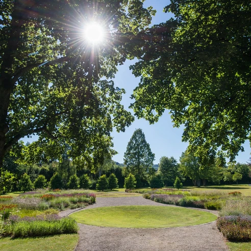 Der Staudengarten im Gräflichen Park, wird von der Sonne beleuchtet.