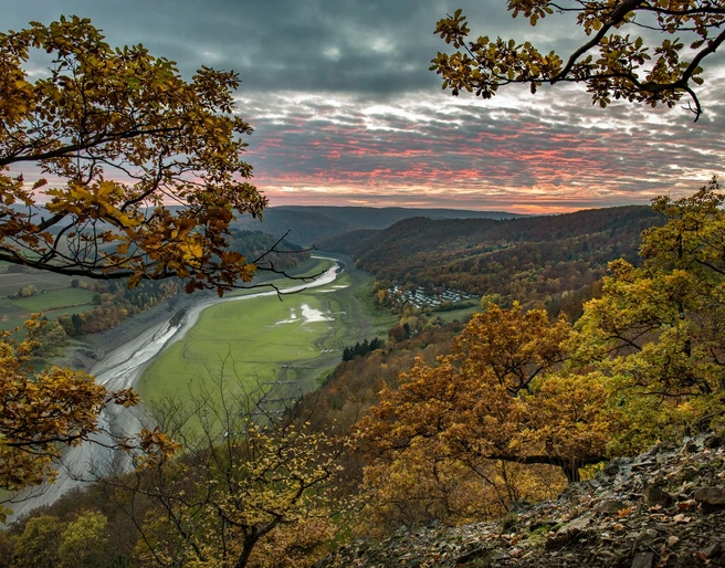 Herbstlicher Sonnenuntergang von einem knorrigen Eichenhang