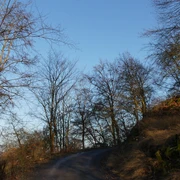 Aufstieg zum Homberg (Bei Bad Wildungen und Reinhardshausen)