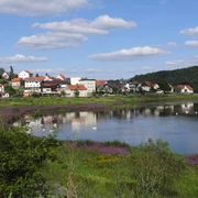 Seggenried in Herzhausen
