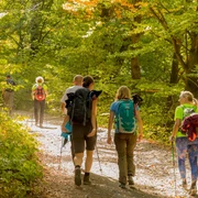 Urige Wälder