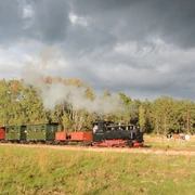Waldeisenbahn