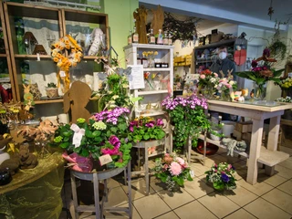 Innenaufnahme eines Blumenladens mit verschiedenen Pflanzenarrangements und handgefertigten Dekorationen. Mehrere Blumentöpfe stehen auf Holztischen, umgeben von floralen Kränzen und Pflanzenaccessoires, die eine warme Atmosphäre schaffen.