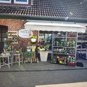 Ein gemütlicher Blumenladen vor einem Ziegelgebäude mit einer Auswahl an bunten Pflanzen und Blüten.