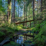 Lochbachklamm