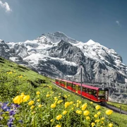 best-of-switzerland-tours-jungfraubahnen-sommer-berge.jpg