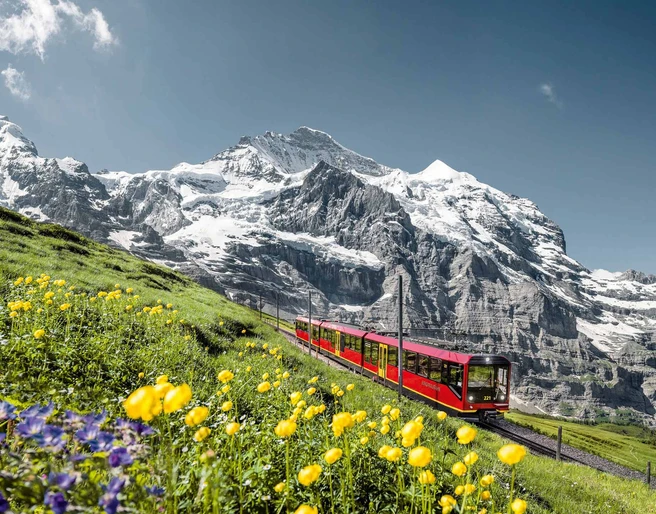 best-of-switzerland-tours-jungfraubahnen-sommer-berge.jpg
