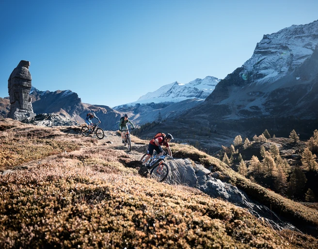 cube-bike-store-simplon-Action-02.jpg