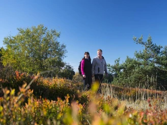 Paar beim Wandern auf dem Ettelsberg
