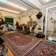 Sammlung exotischer Tierpräparate im Wasserschloss Heerse, darunter ein Eisbär, Elch und Löwe.