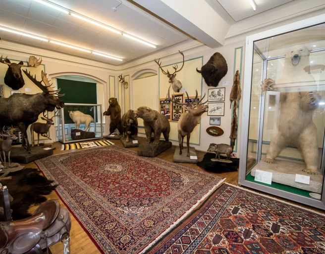 Sammlung exotischer Tierpräparate im Wasserschloss Heerse, darunter ein Eisbär, Elch und Löwe.