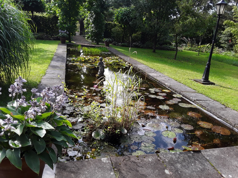 Landhausgraten Knospe Aurich Landhausgraten Knospe Aurich