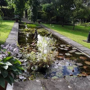 Landhausgraten Knospe Aurich Landhausgraten Knospe Aurich