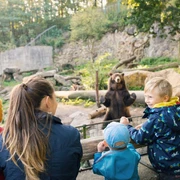 Zoo Děčín Eine Gruppe von Kindern und ein Erwachsener beobachten einen stehenden Bären in einem Zoo-Gehege, umgeben von Bäumen und Felsen.