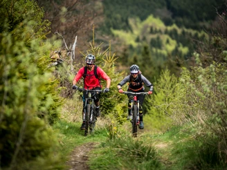Mountainbiker auf Grastrail in Willingen Mountainbiker auf Grastrail in Willingen