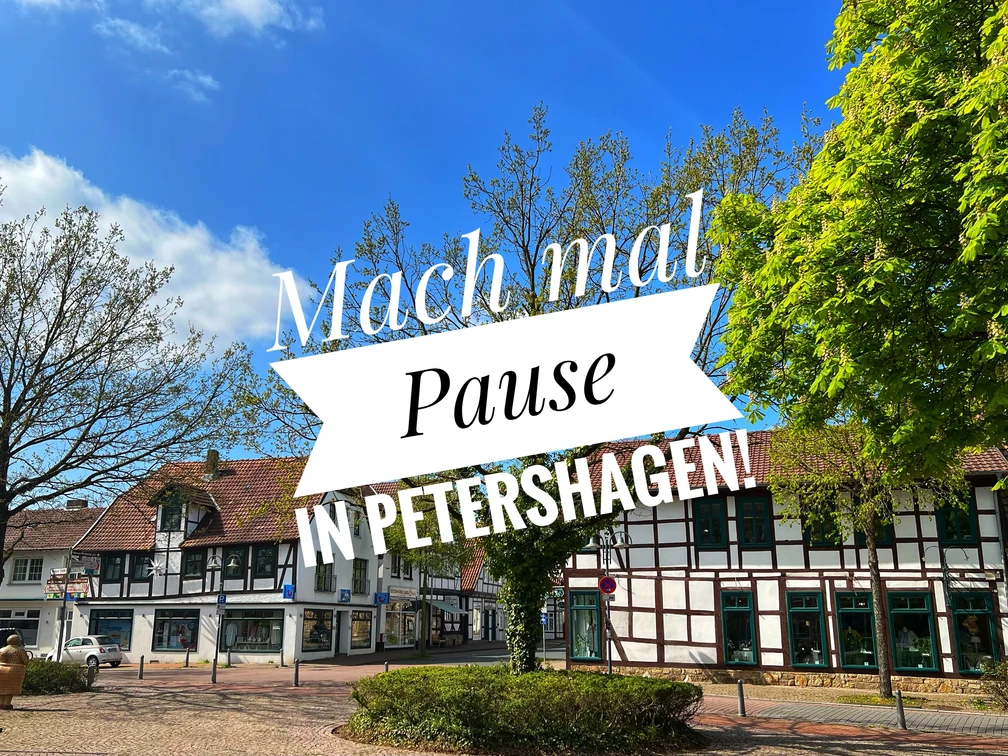 Ein Platz mit historischen Fachwerkbauten, Bäumen und blühenden Sträuchern unter blauem Himmel.